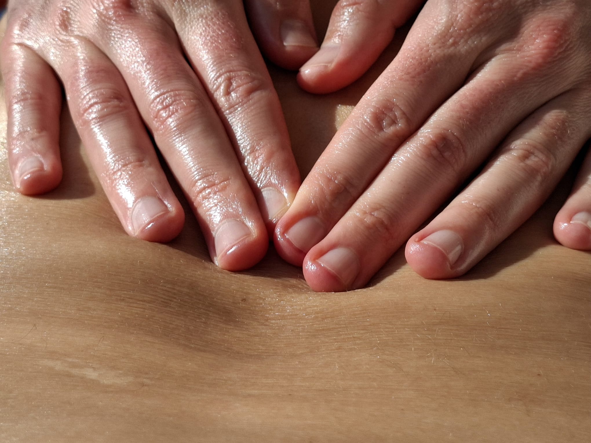 IMG-20250413-WA0013[1]